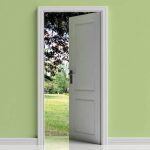 Opened door, passage to nature, hope. Open door on green pastel wall background, park view out of the door opening, banner, copy space. 3d illustration