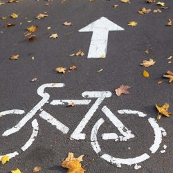 A bicycle path with a bicycle road sign and markings drawn on the asphalt. The autumn track in the park is strewn with dry yellow maple leaves. Cycling in autumn, traffic rules