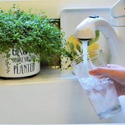 robinet (Mini)